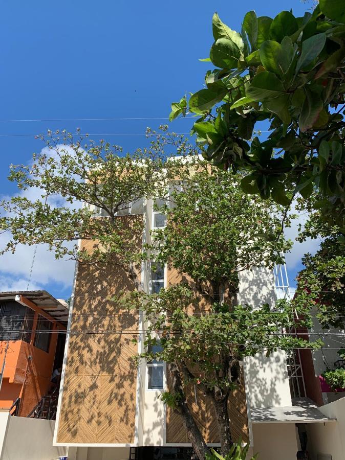 Oostel Smart Hostel - Tulum Pueblo (Adults Only) Zewnętrze zdjęcie